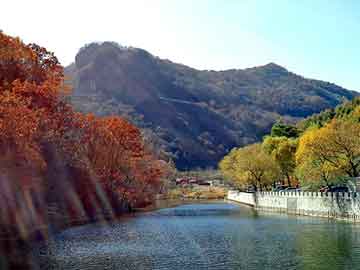 新澳天天开奖资料大全旅游团，二甲基亚砜生产厂家